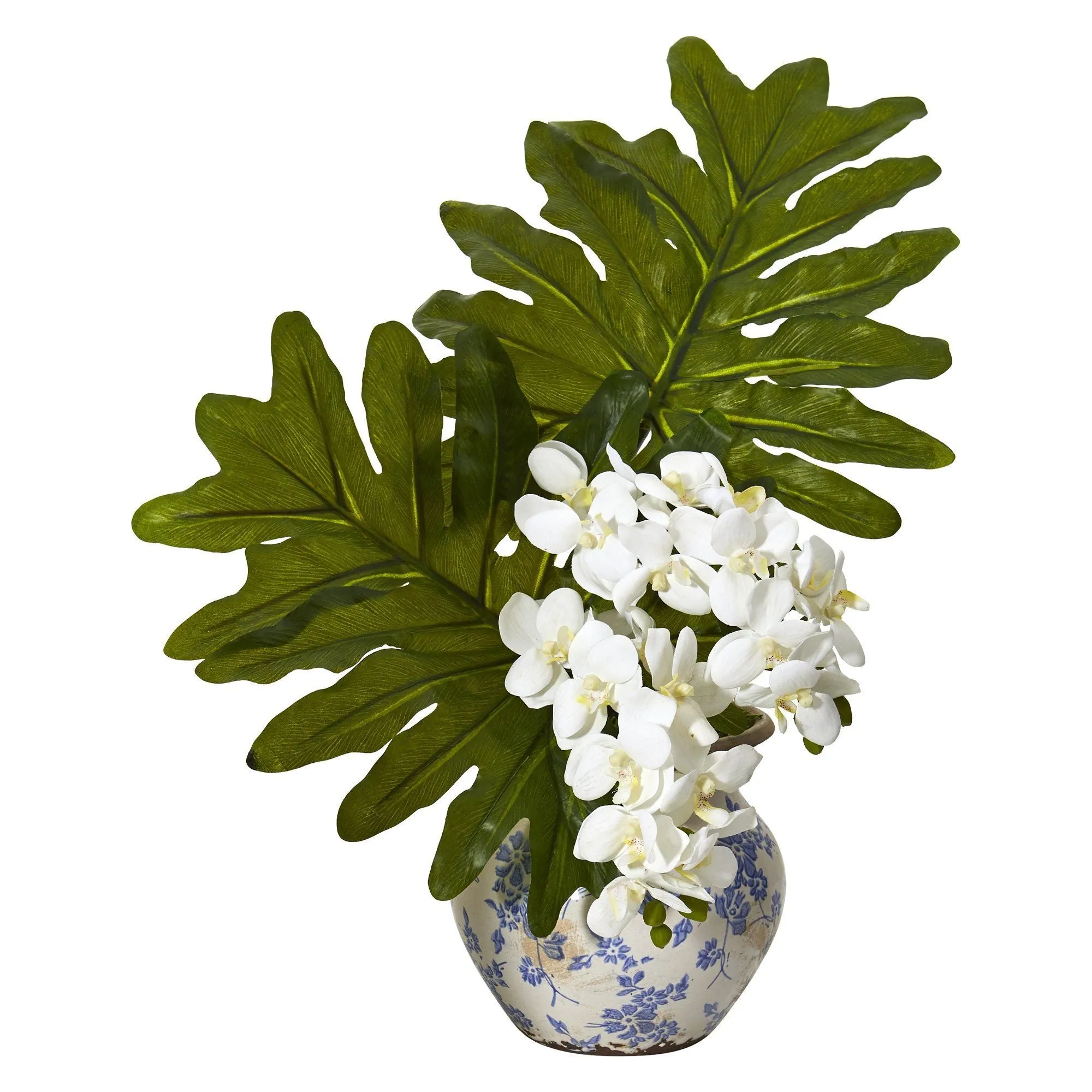 22” Phalaenopsis Orchid and Philo Leaf Arrangement in Vase
