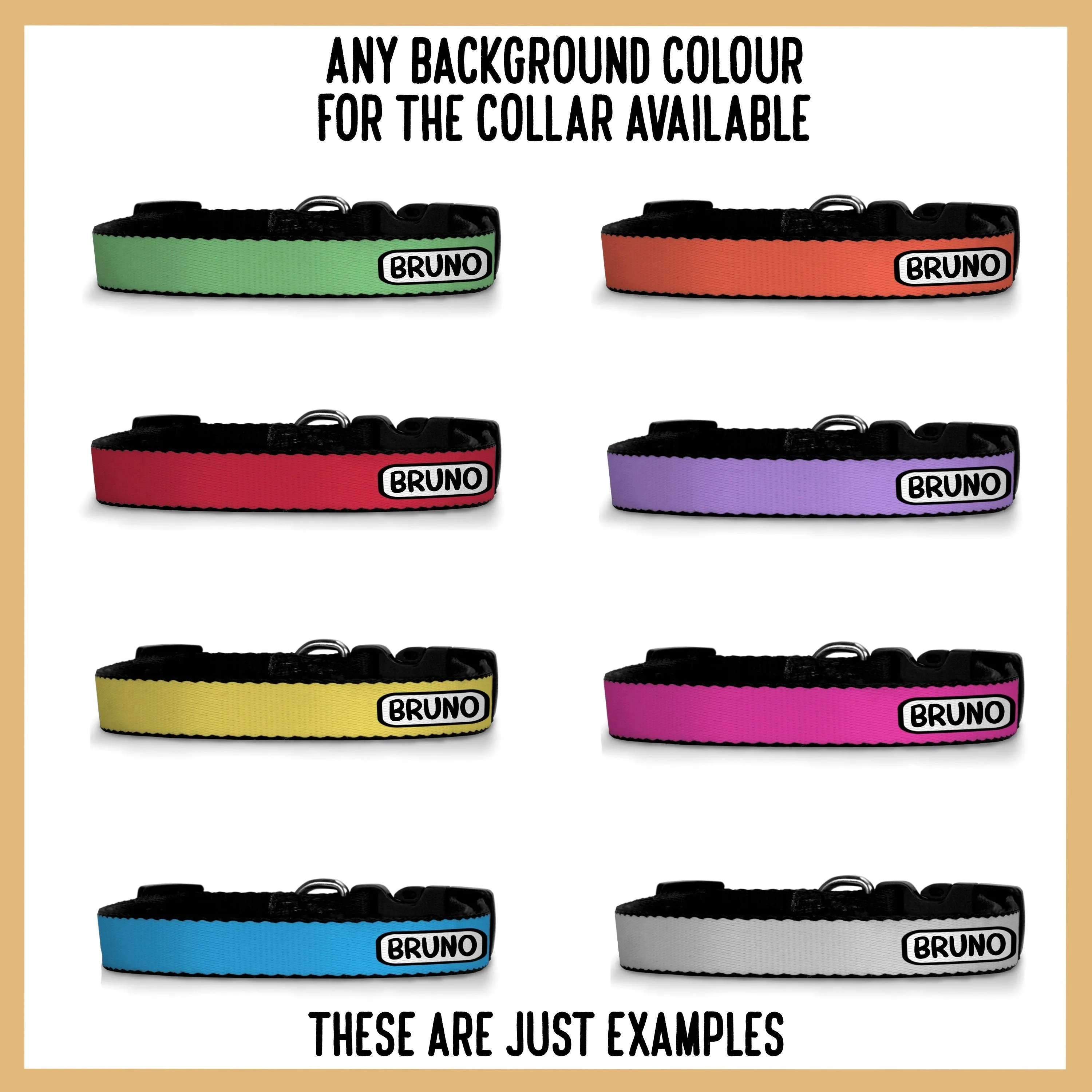 Australian Shepherd Collar
