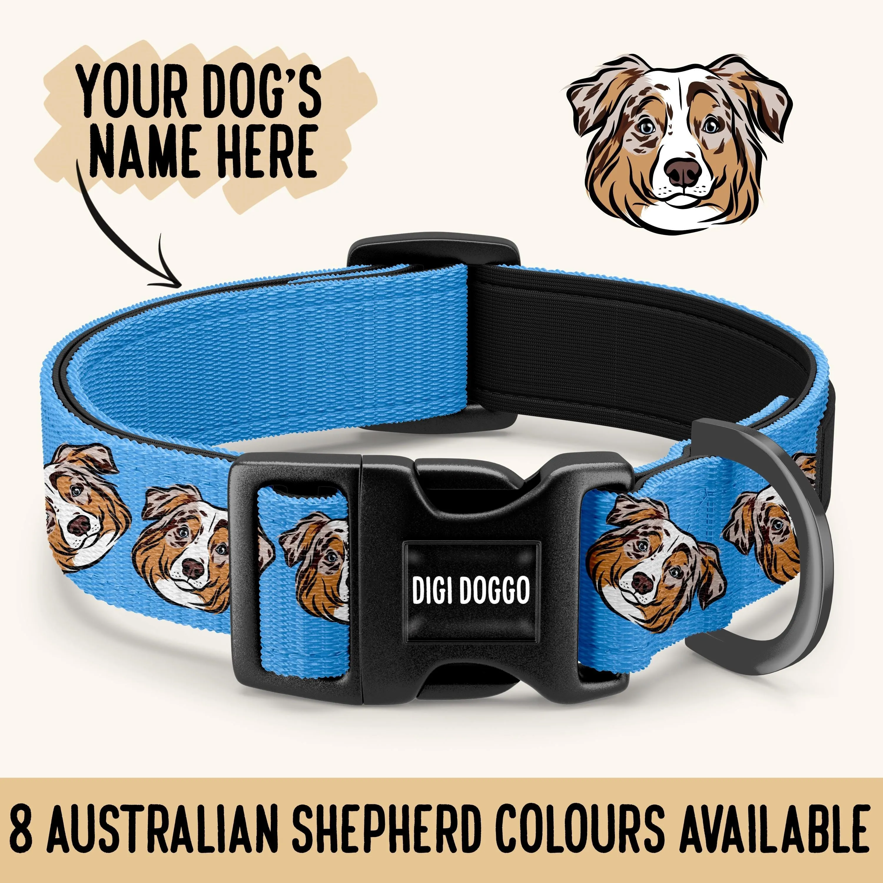 Australian Shepherd Collar