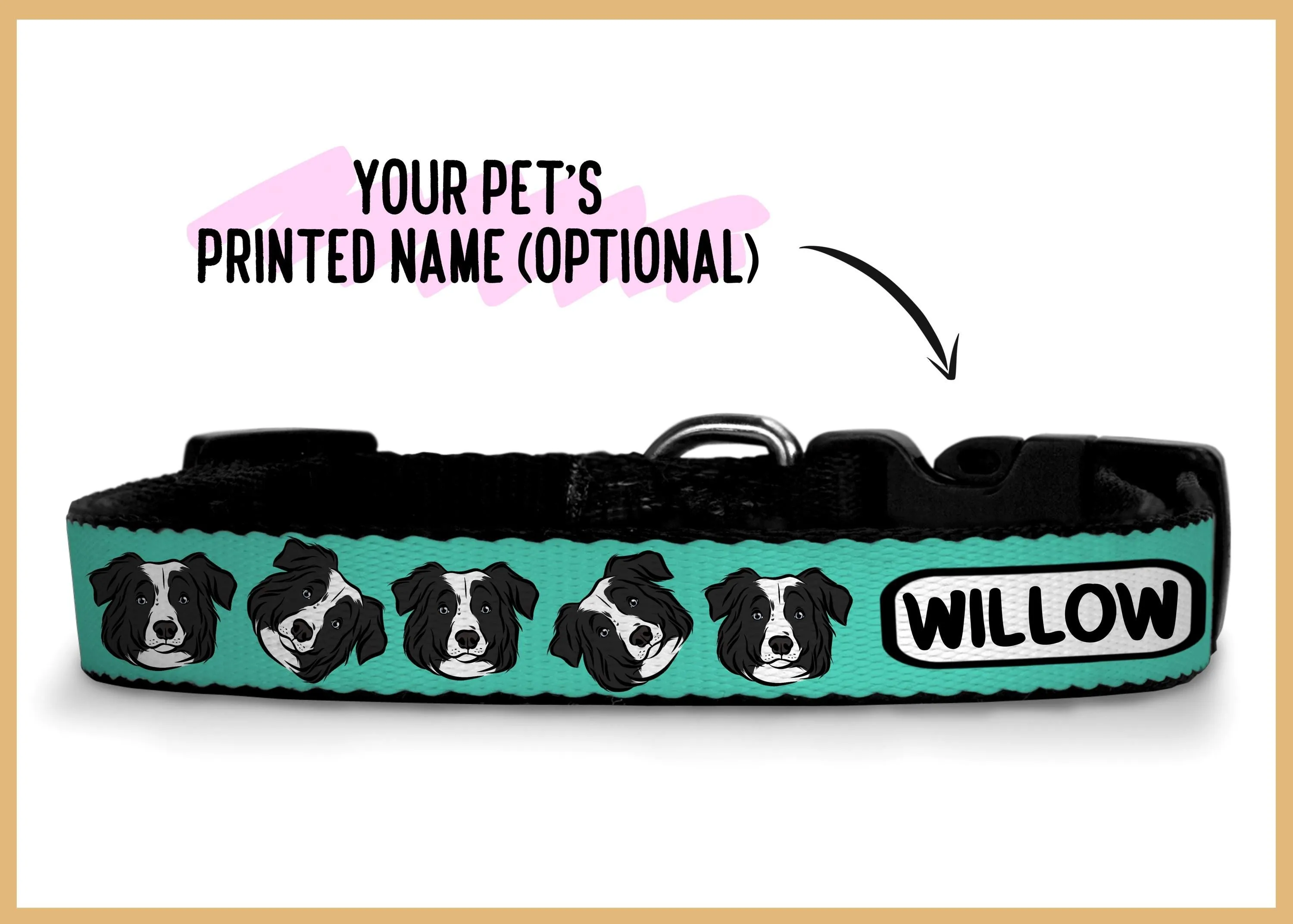 Australian Shepherd Collar