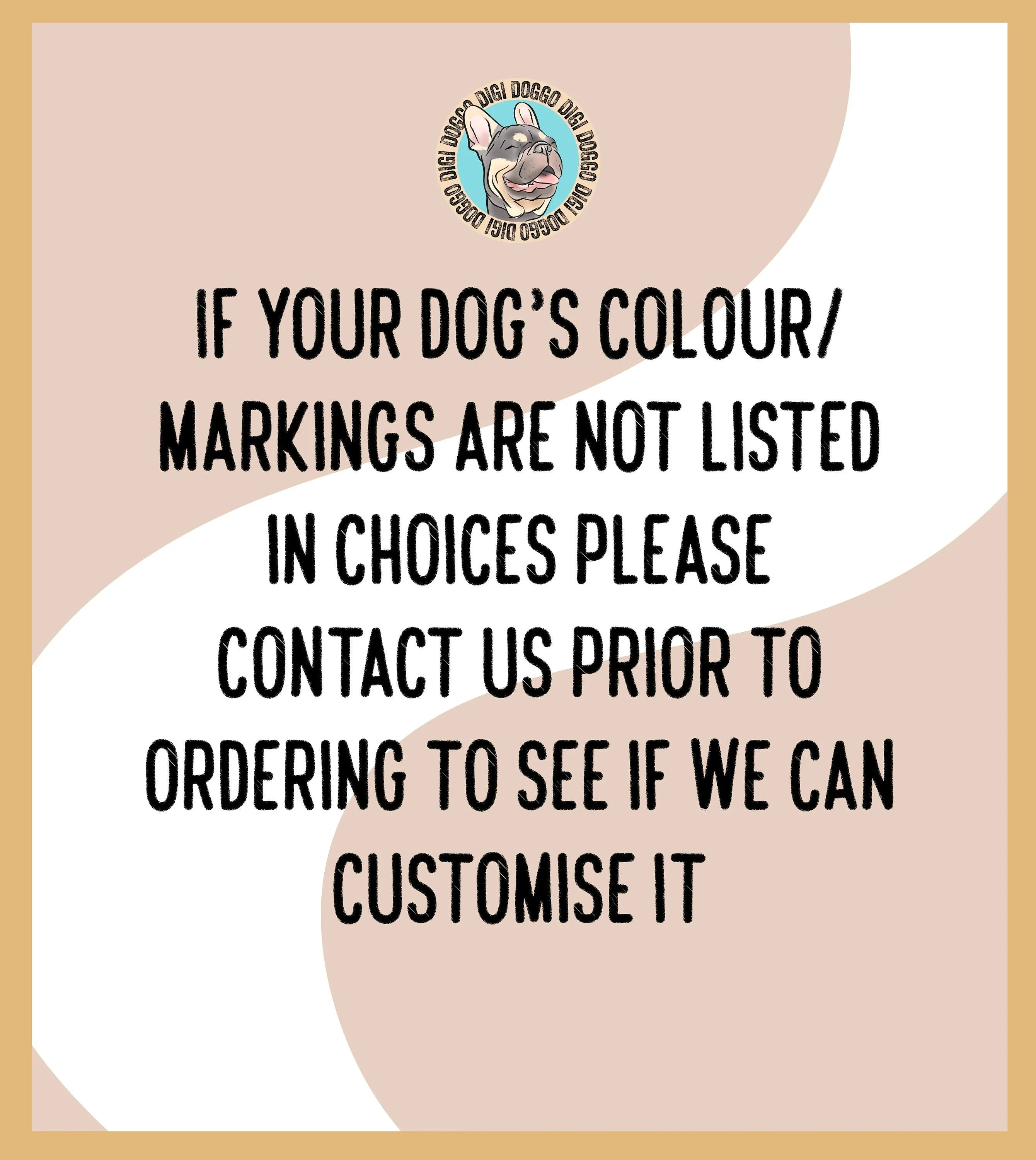 Australian Shepherd Collar