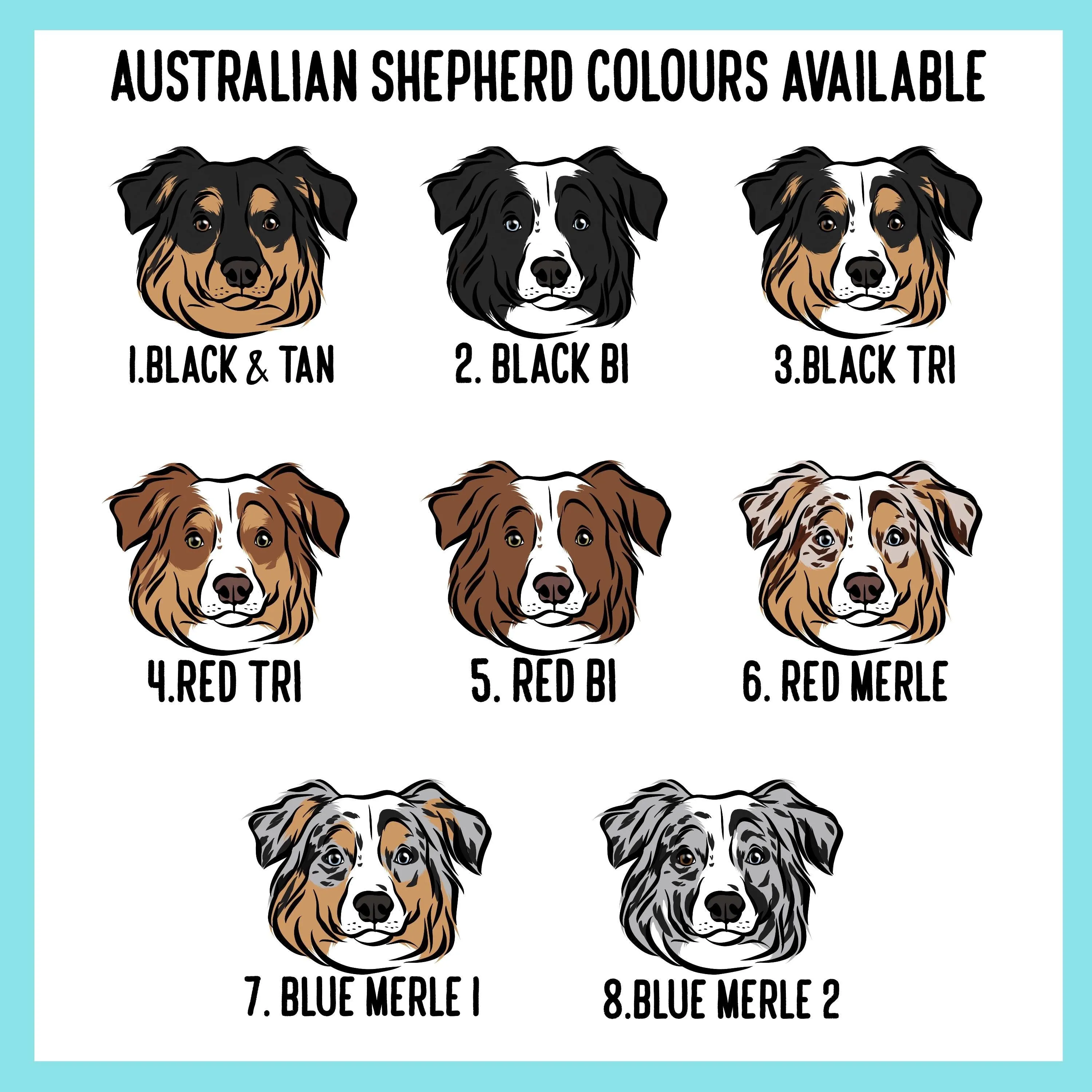 Australian Shepherd Collar
