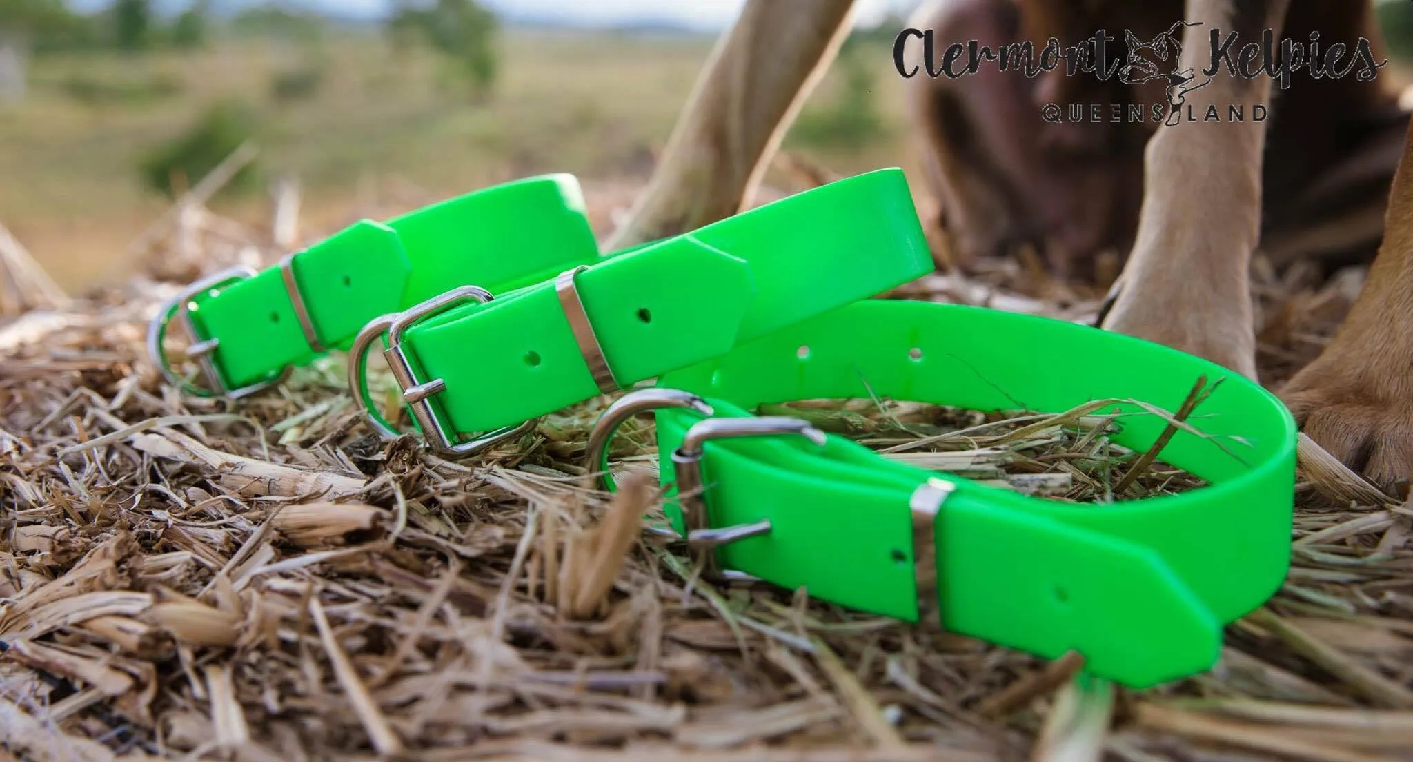 Dog Collar PVC 32mm x 55cm - Fluro Green