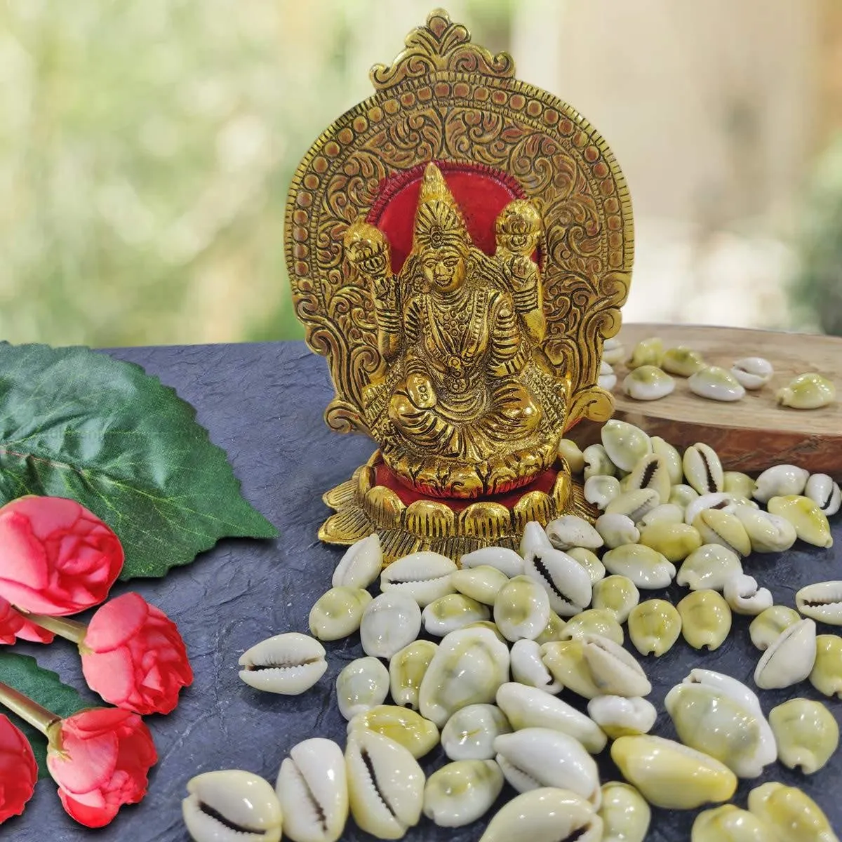 Natural Original Yellow Kawdi for Laxmi Pooja
