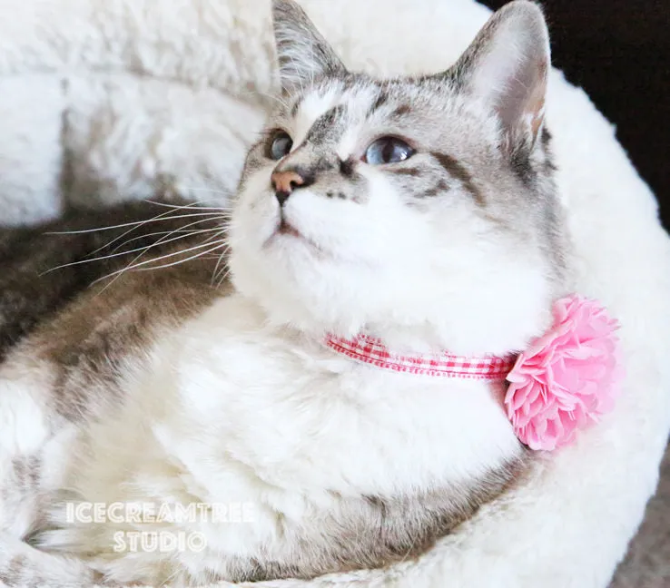 PomPom Orange Bloom Collar Slide On - Small Flower Collar Accessory