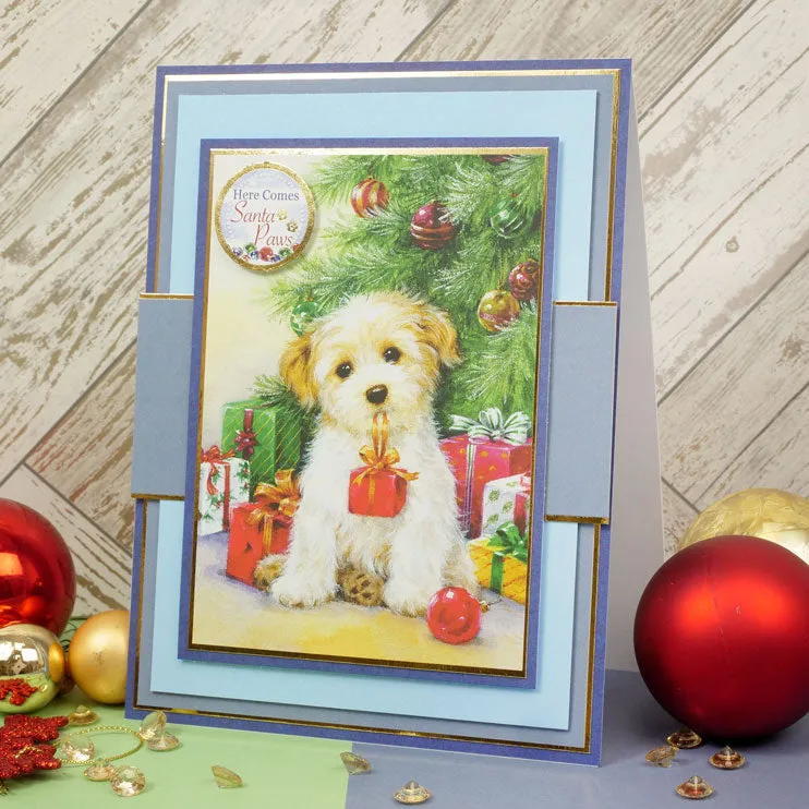 The Little Book of Santa Paws